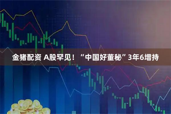 金猪配资 A股罕见！“中国好董秘”3年6增持