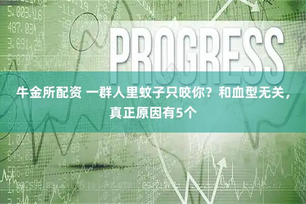 牛金所配资 一群人里蚊子只咬你？和血型无关，真正原因有5个