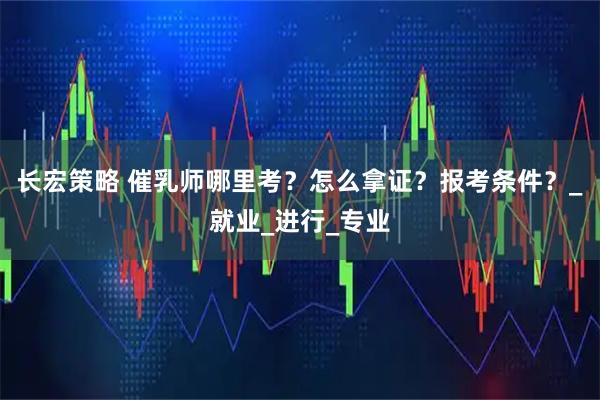 长宏策略 催乳师哪里考？怎么拿证？报考条件？_就业_进行_专业