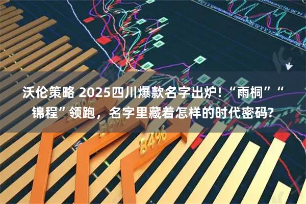 沃伦策略 2025四川爆款名字出炉! “雨桐”“锦程”领跑，名字里藏着怎样的时代密码?