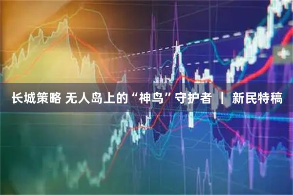长城策略 无人岛上的“神鸟”守护者 ｜ 新民特稿